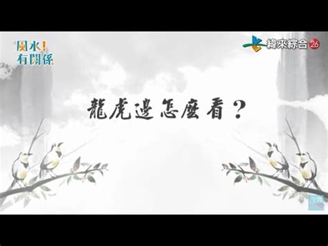 廁所在虎邊|【廁所要在龍邊還是虎邊】廁所要在龍邊還是虎邊？三。